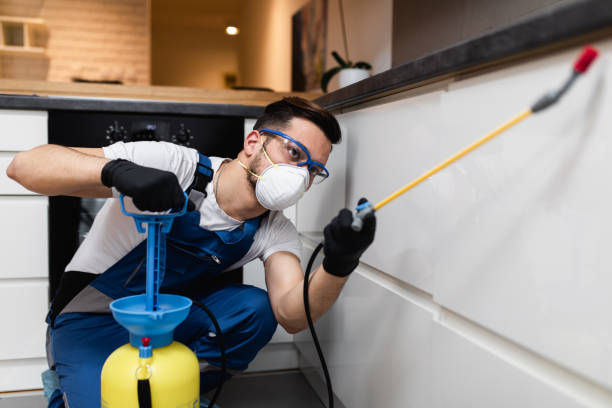 Best Bed Bug Extermination  in Fredericksburg, IA