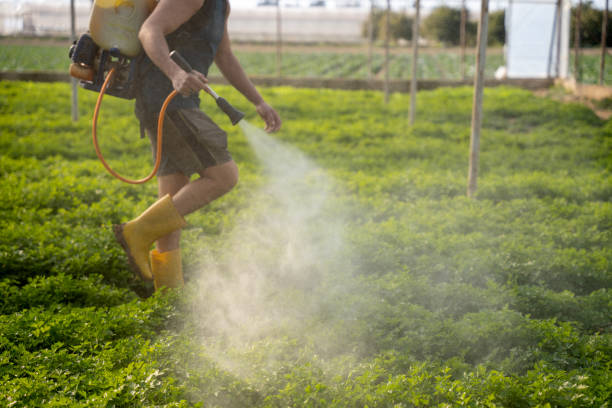 Best Insect Control  in Fredericksburg, IA