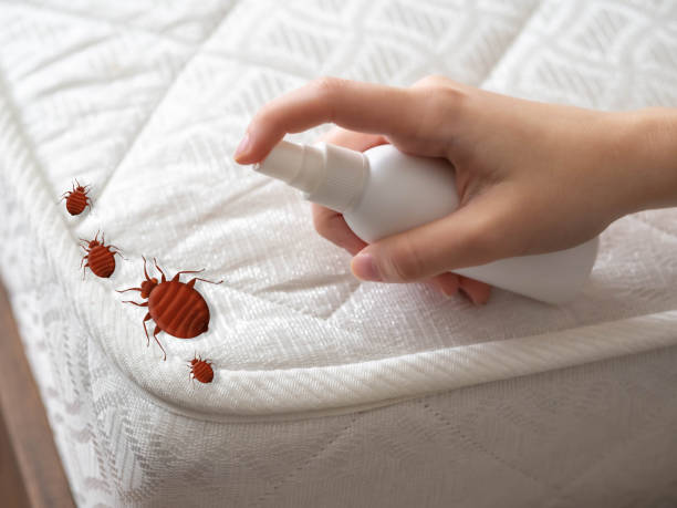 Best Residential Pest Control  in Fredericksburg, IA