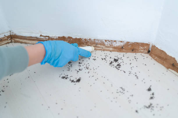 Best Pest Prevention Services  in Fredericksburg, IA